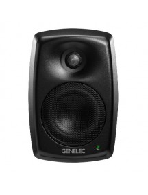 GENELEC 4020C Installation Speaker Black - Analog 2 Way